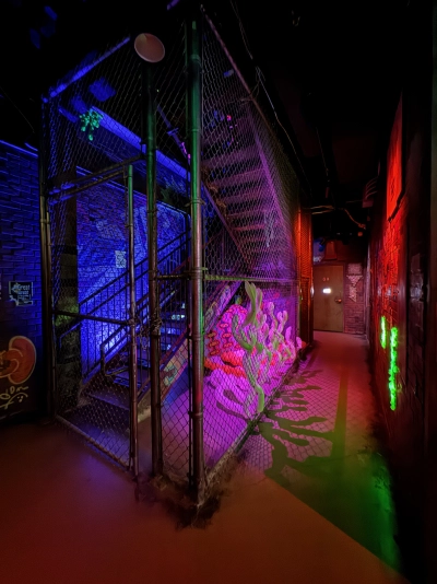 A back alley exhibit inside the Meow Wolf in downtown Denver. A staircase is locked behind a chain link fence; the door is padlocked. The stairs are lit in various hues including blue, purple and red.