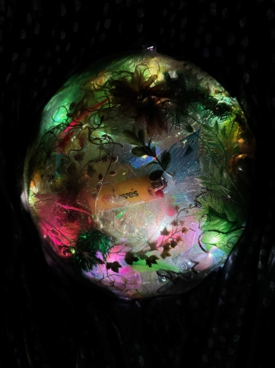 A small, transparent globe inside the Meow Wolf in downtown Denver is lit up on the inside in various colors. In addition to the lights, there are plant clippings and other miscellaneous objects inside like a lighter from a Love's truck stop. The effect is as if they are frozen in amber.