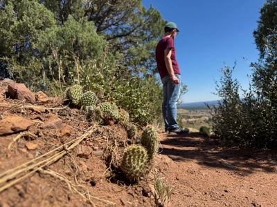 Closeup of a small cactus on the Red Rocks Trail in Colorado (specifically Dalton Point). Beau is standing in the background, blurred, looking out over the suburbs.