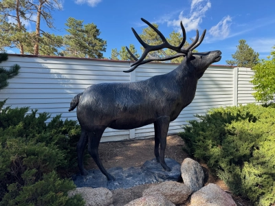 Statue of an elk in the garden located behind the Stanley Hotel.