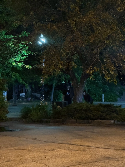 The Spragues check out a mini library box behind a large tree in downtown Kenosha, Wisconsin. It is nighttime and the scene is lit by bright street lamps.